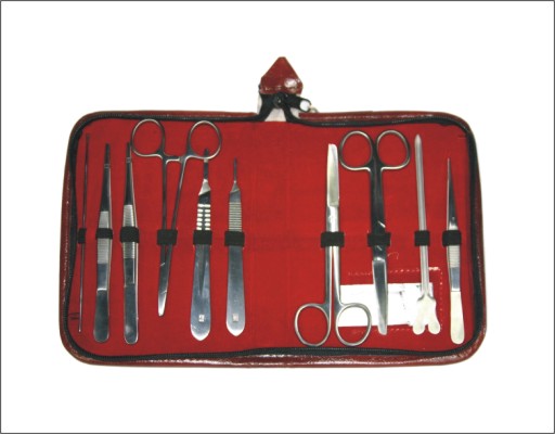 Punte per elettrodi dentali Set da 7 punte per elettrochirurgia Adatte